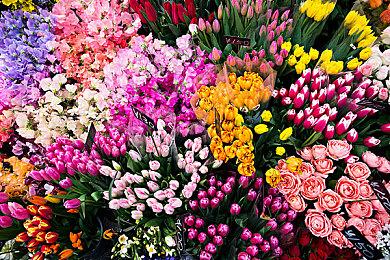 CDPR对多人游戏有兴趣 但坚持认为单人游戏仍是王道